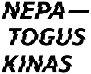 Nepatogus kinas